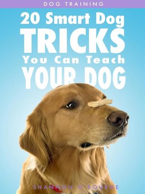 cover image of Dog Training